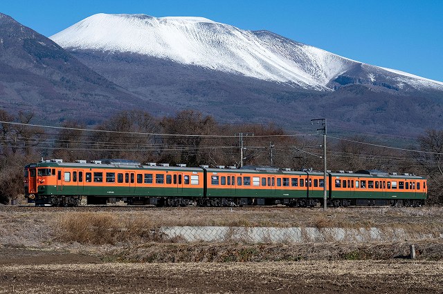 115系